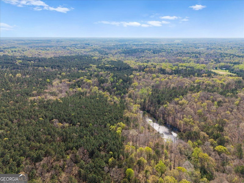 Photo 9 of 198 +/- ACRES Apalachee Woods Trail