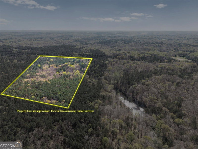Photo 10 of 198 +/- ACRES Apalachee Woods Trail