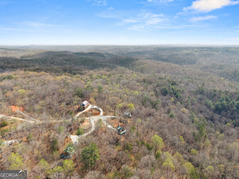 Photo 51 of 184 Walnut Ridge Drive