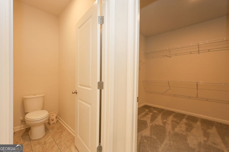 Photo 43 of 1847 Azure Grove Court