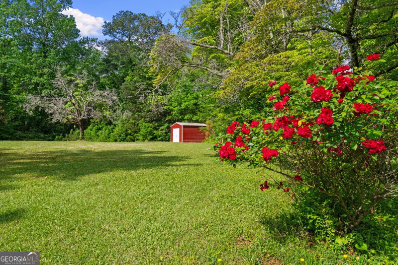Photo 42 of 768 Burwell Road