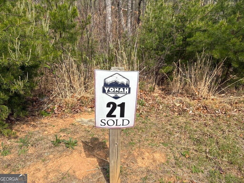 Photo 2 of 21 Yonah Lake Drive