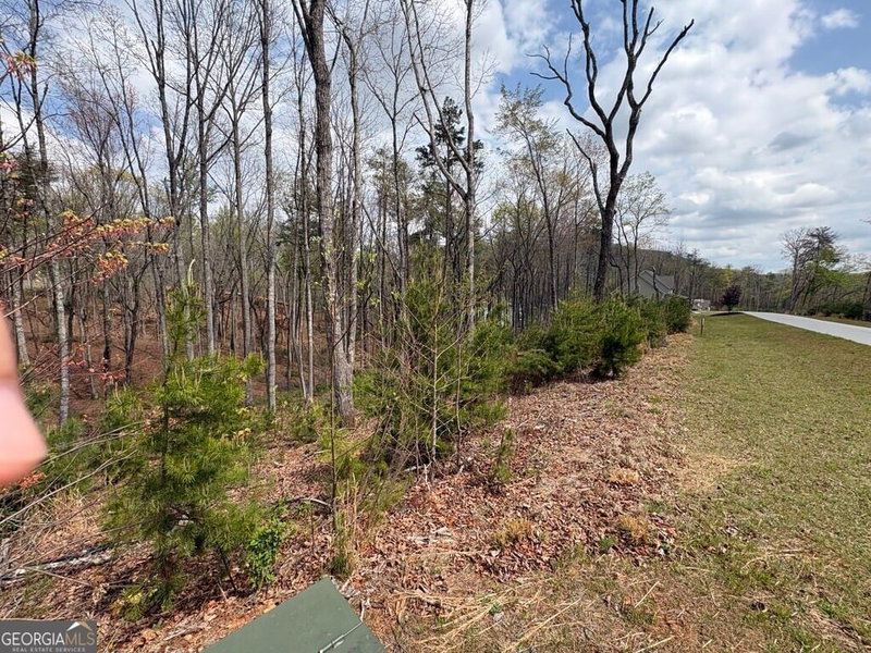 Photo 3 of 21 Yonah Lake Drive