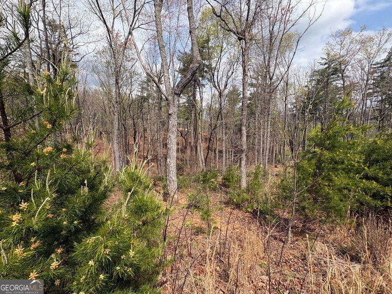 Photo 4 of 21 Yonah Lake Drive