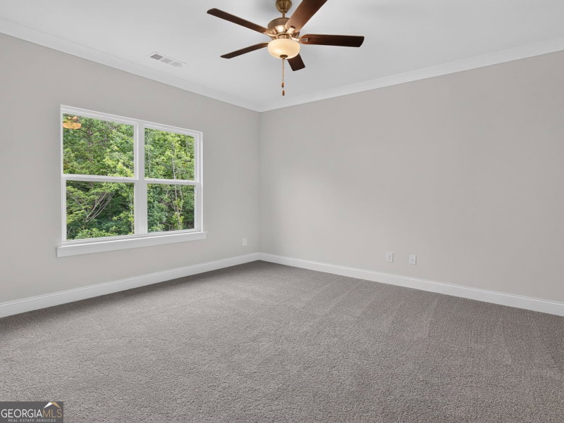 Photo 15 of 497 Principal Meridian Drive