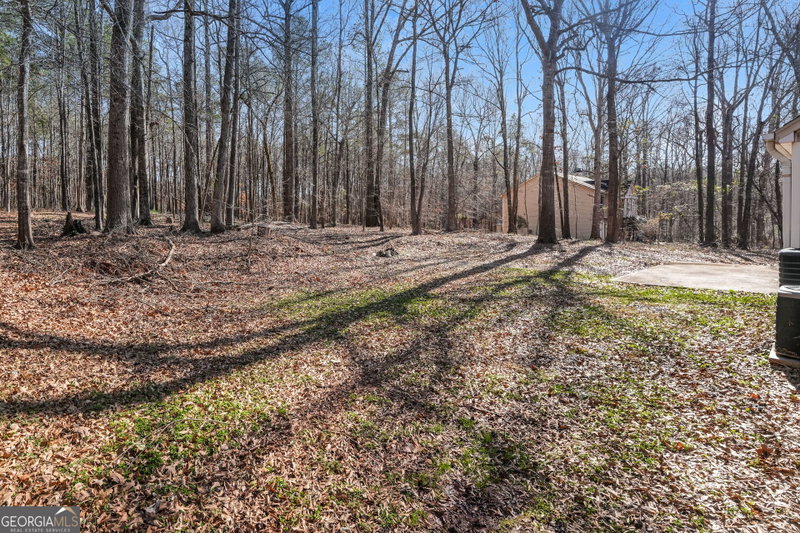 Photo 21 of 310 Alcovy Way