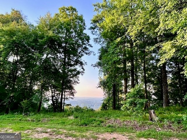 0 Mountainside Drive #LOT 17