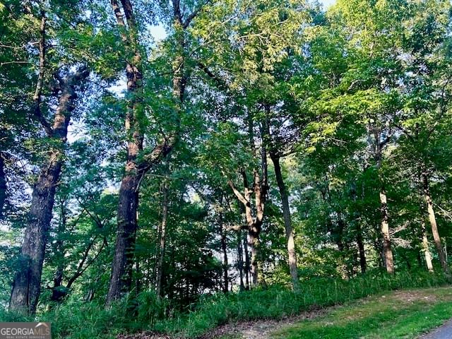 Photo 21 of 0 Mountainside Drive #LOT 17