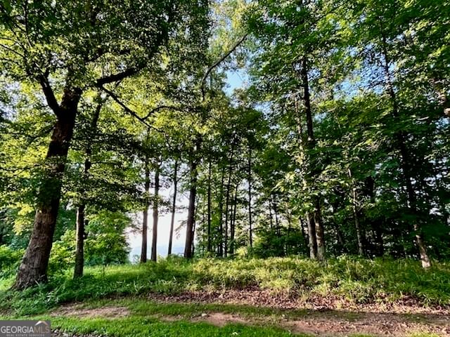 Photo 23 of 0 Mountainside Drive #LOT 17