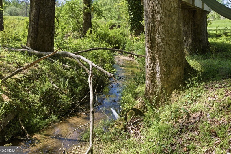 Photo 44 of 120 Haywood Hills Road