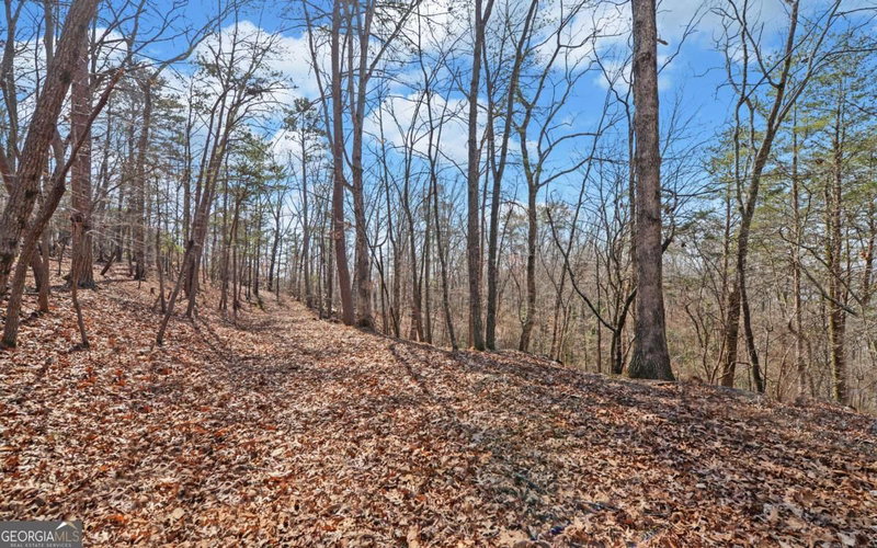 Photo 38 of 2290 Boy Scout Camp Road