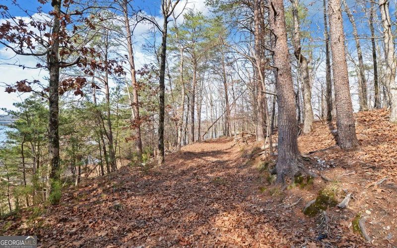 Photo 40 of 2290 Boy Scout Camp Road