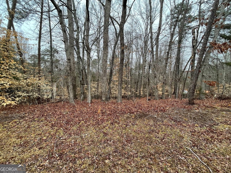 Photo 11 of LOT 43 Chickasaw Drive