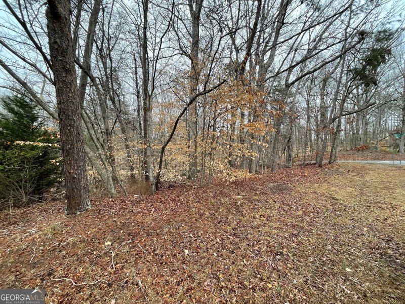 Photo 12 of LOT 43 Chickasaw Drive