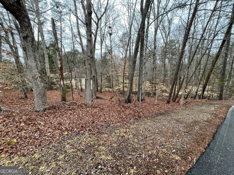 Photo 3 of LOT 43 Chickasaw Drive