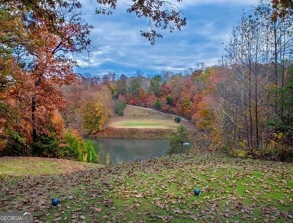 Photo 29 of LOT 43 Chickasaw Drive