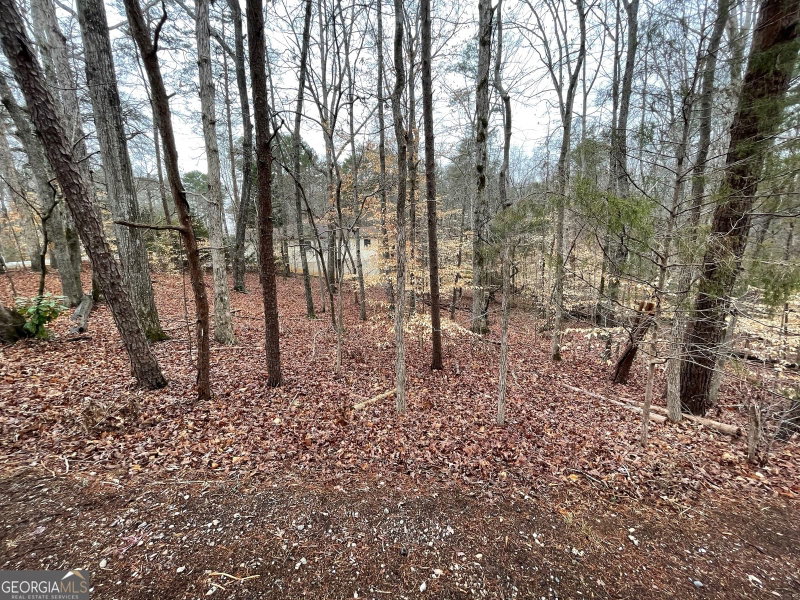 Photo 4 of LOT 43 Chickasaw Drive