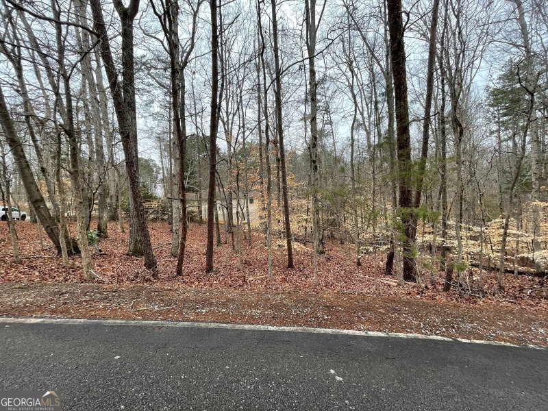 Photo 5 of LOT 43 Chickasaw Drive