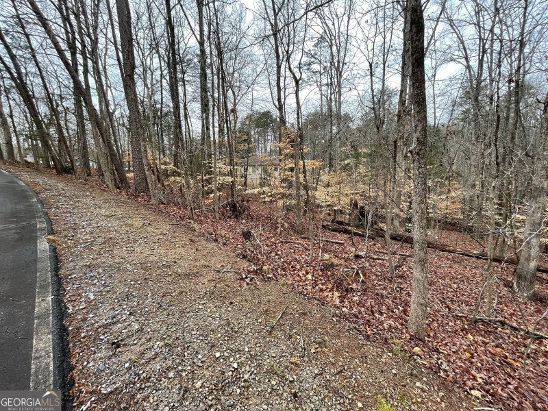 Photo 6 of LOT 43 Chickasaw Drive