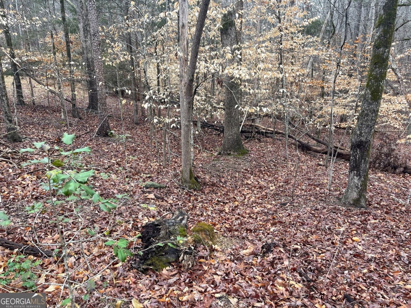 Photo 7 of LOT 43 Chickasaw Drive