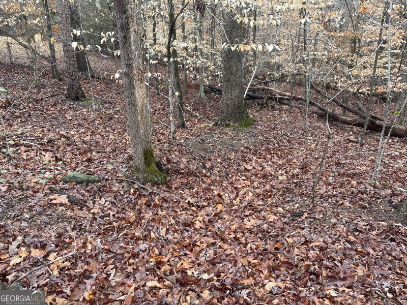 Photo 8 of LOT 43 Chickasaw Drive