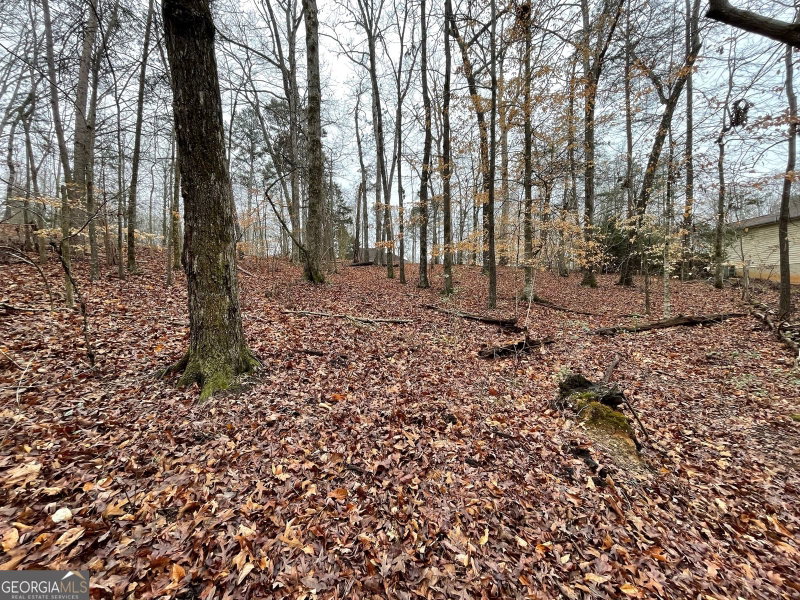Photo 9 of LOT 43 Chickasaw Drive