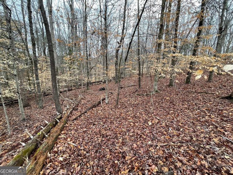 Photo 10 of LOT 43 Chickasaw Drive