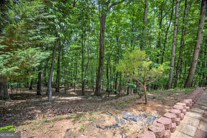 Photo 54 of 24 Sal Mountain Way