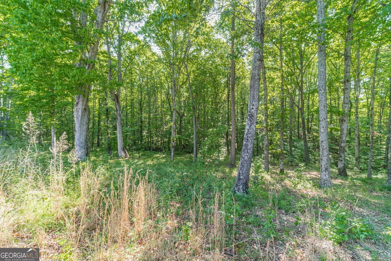 Photo 44 of 2124 Stonegate Way