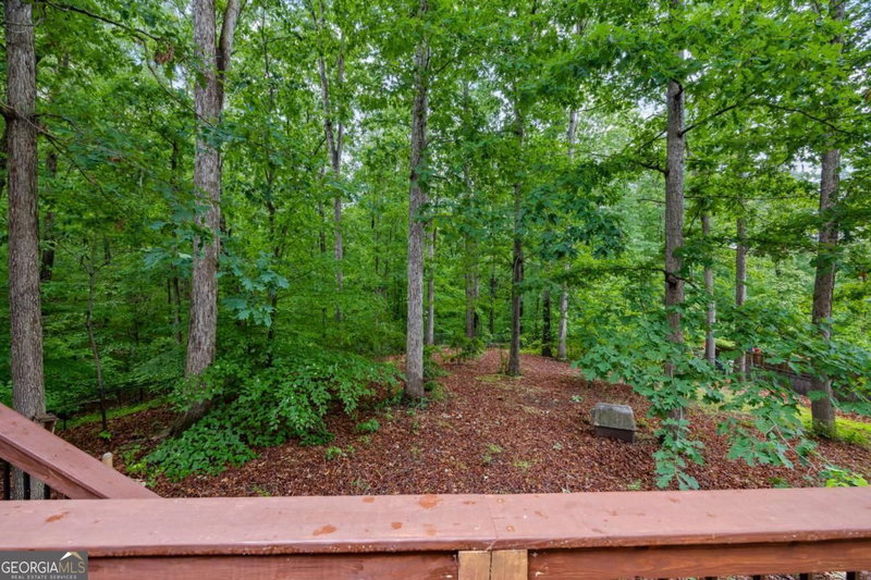 Photo 43 of 45 Highland Shoals Court