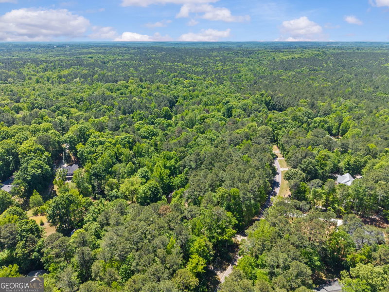 Photo 7 of LOT 19 Apalachee Woods Trail