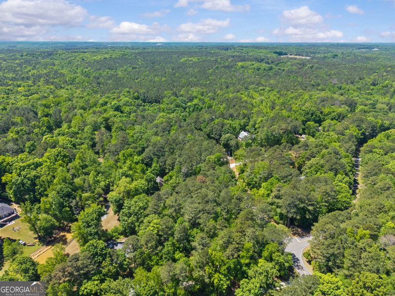 Photo 8 of LOT 19 Apalachee Woods Trail