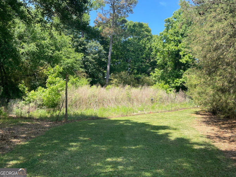 Photo 51 of 156 Lake Oglethorpe Drive
