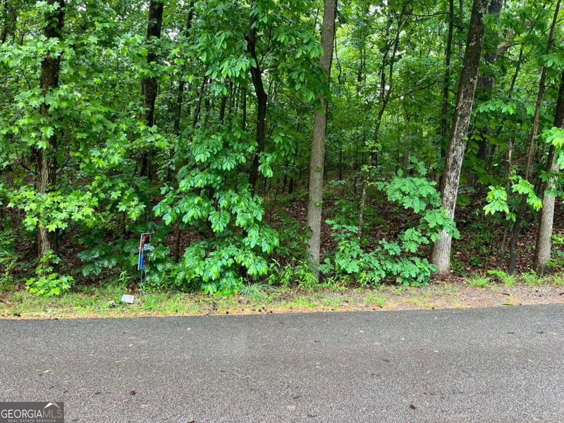 Photo 7 of 0 Lake Club Drive