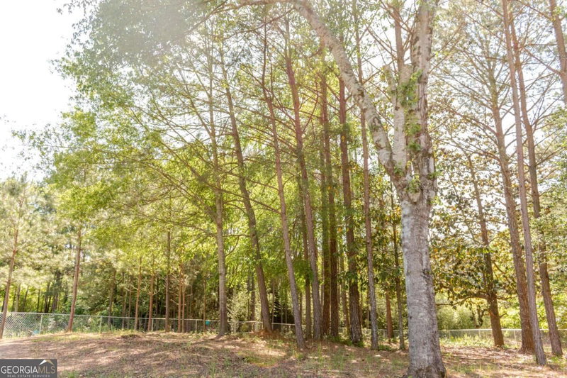 Photo 11 of 115 Sourwood Drive