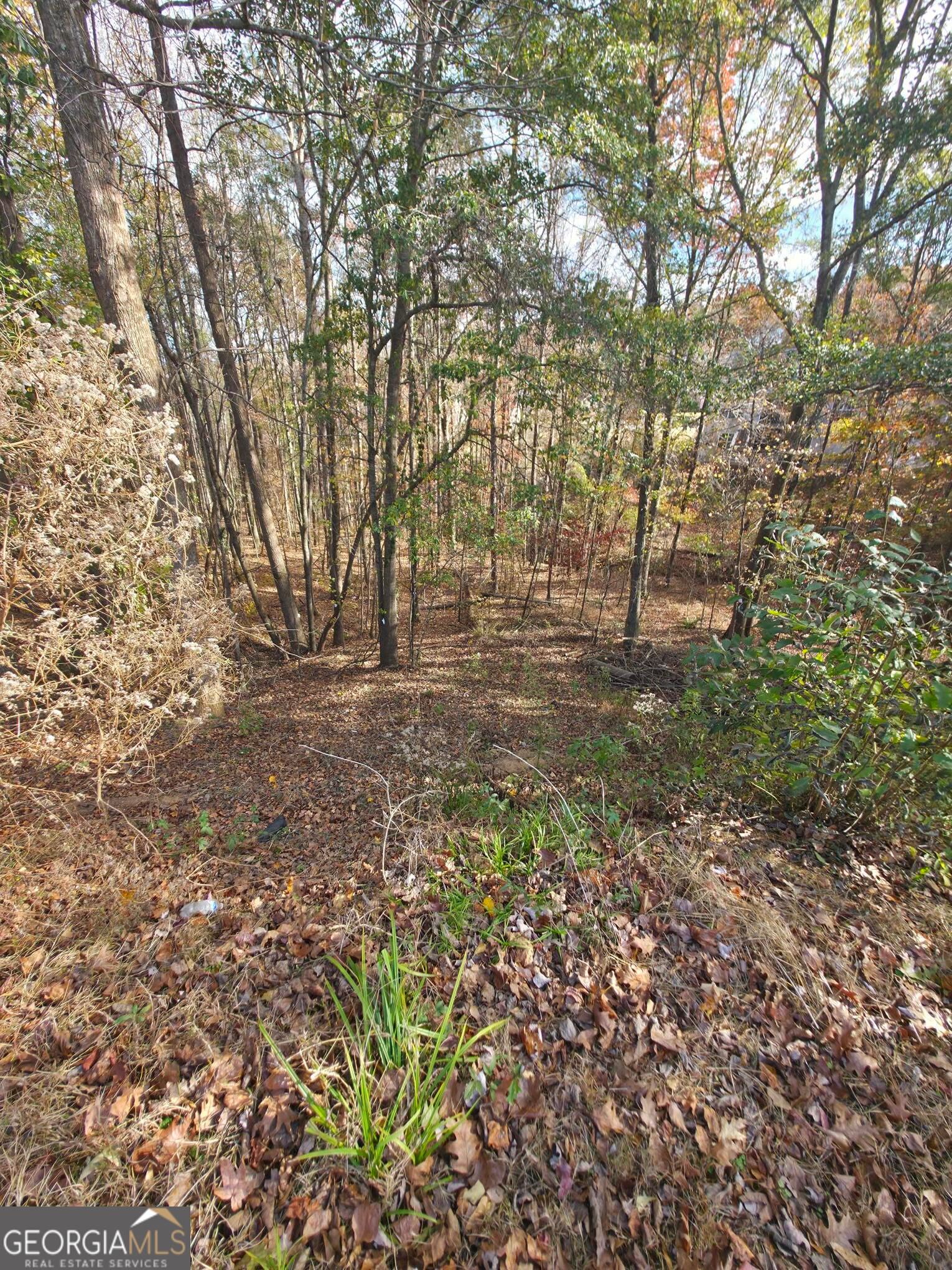2412 Snowshoe Bend, Bethlehem, GA 30620