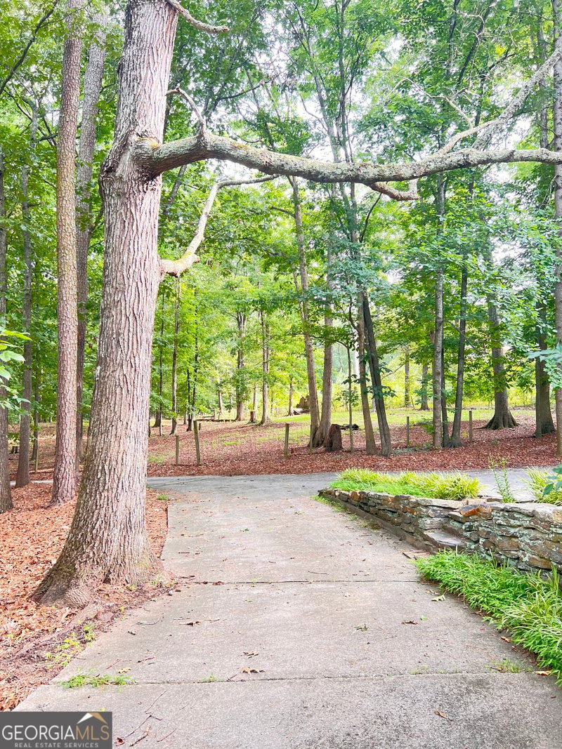Photo 36 of 2648 Tribble Mill Road