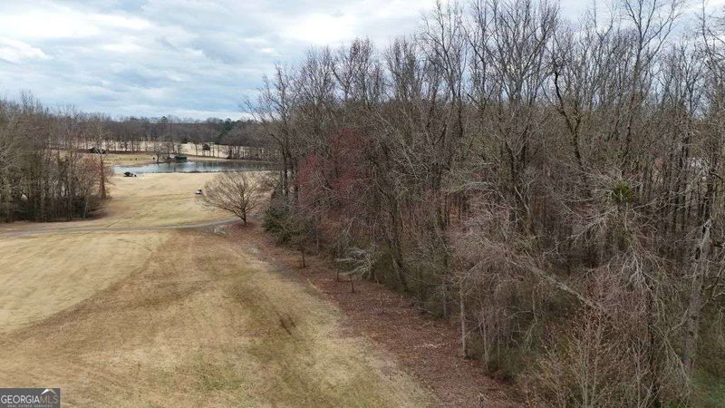Photo 6 of 203 Adams Drive