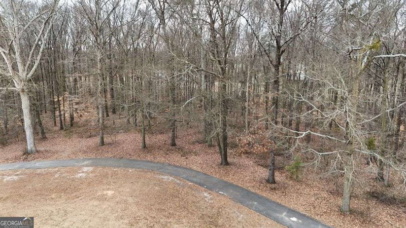 Photo 8 of 203 Adams Drive