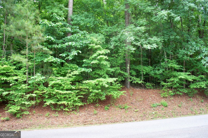 Photo 3 of 1390 Northwoods Drive
