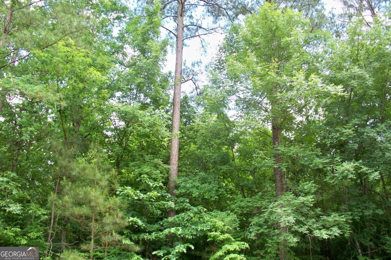 Photo 4 of 1390 Northwoods Drive