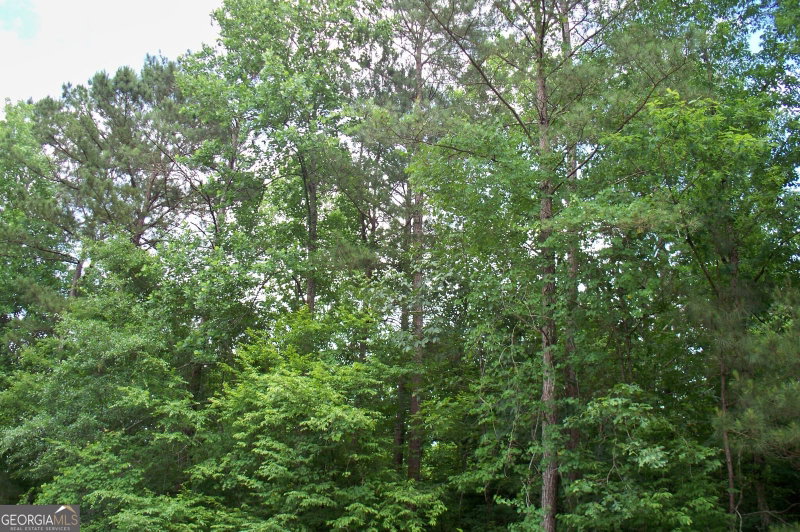 Photo 5 of 1390 Northwoods Drive