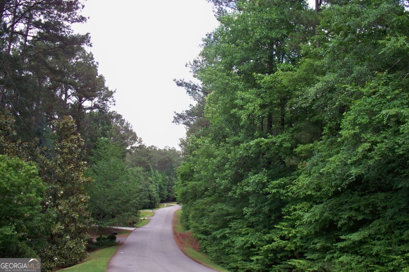 Photo 8 of 1390 Northwoods Drive