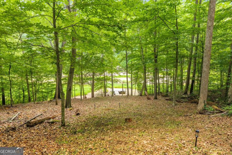 Photo 20 of 302 Gumlog Drive