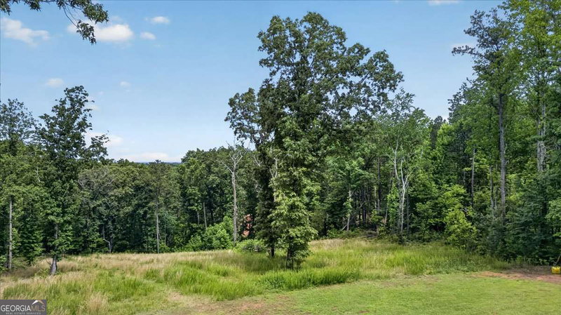 Photo 42 of 930 Dry Pond Lane