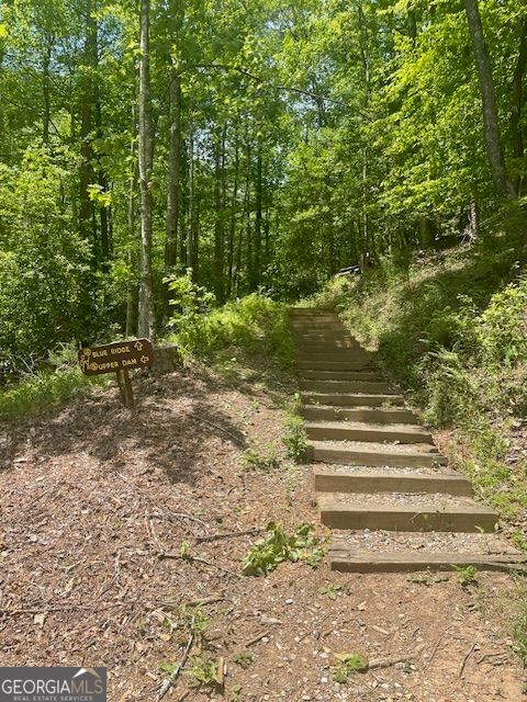 Photo 13 of LOT 13 Woodbrier