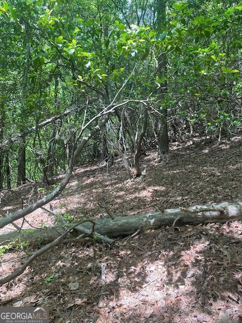 Photo 5 of LOT 13 Woodbrier
