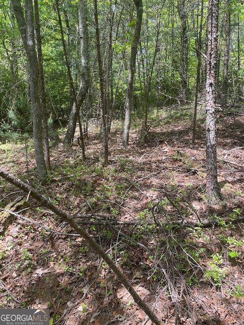 Photo 8 of LOT 13 Woodbrier