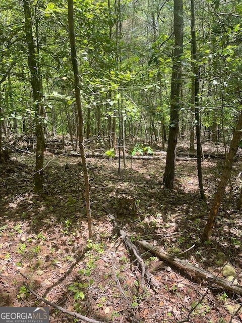 Photo 9 of LOT 13 Woodbrier