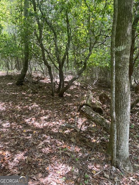 Photo 10 of LOT 13 Woodbrier